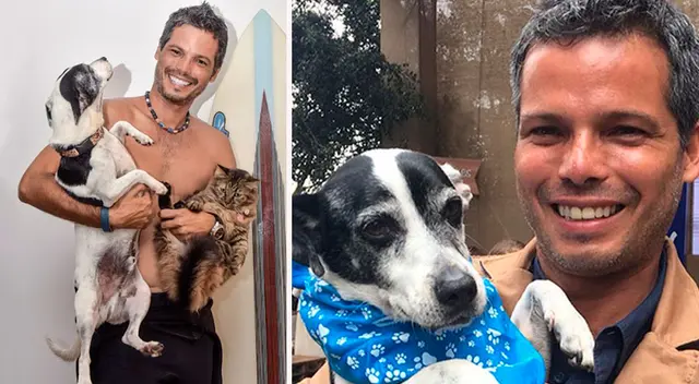 Pancho Cavero exhorta al cuidado y respeto de los animales. Pancho Cavero exhorta al cuidado y respeto de los animales.