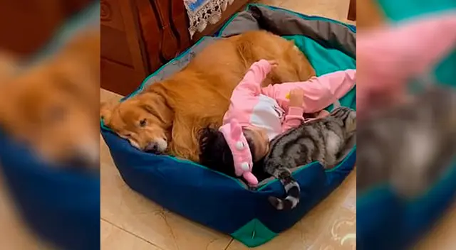 La tierna escena fue captada en cámara por la madre del niño.