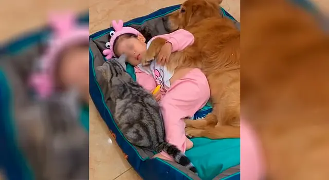 La tierna escena fue captada en cámara por la madre del niño.