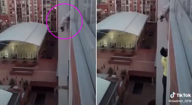 El perrito tenía la mitad del cuerpo colgando hacia el vacío.