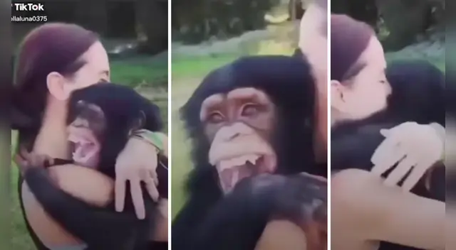 El clip cuenta con miles de reproducciones en YouTube.