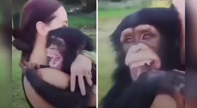 La tierna escena cautivó a los usuarios en las redes sociales.