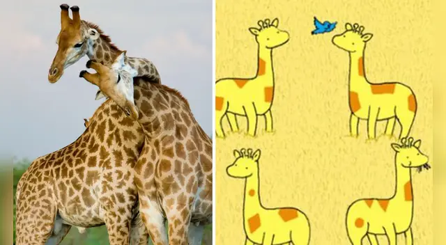 Este challengue ha puesto en aprietos a los usuarios de Facebook.