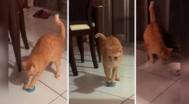 El clip cuenta con miles de reproducciones en TikTok.