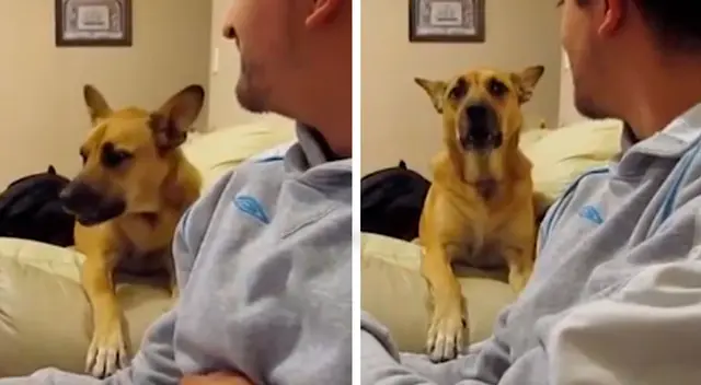 La dulce ‘pelea’ entre un hombre y su mascota La dulce ‘pelea’ entre un hombre y su mascota