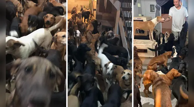 La emotiva escena se ha robado el corazón de miles de usuarios en las redes sociales.