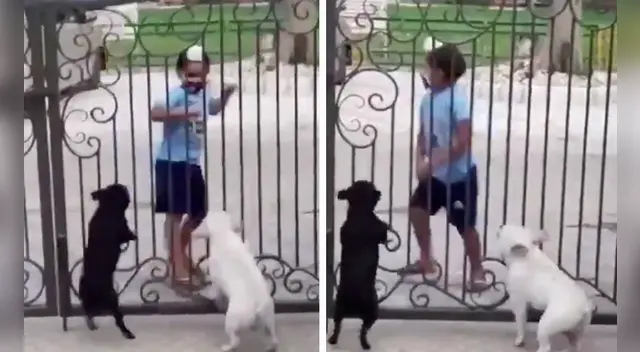 La cómica escena causó la risa de miles de internautas en las redes sociales. La cómica escena causó la risa de miles de internautas en las redes sociales.