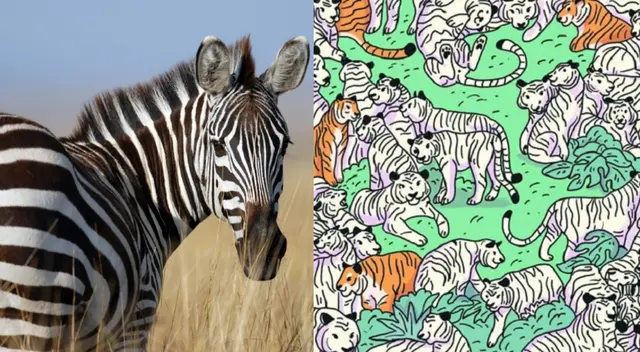 Reto viral: encuentra a la cebra escondida en la imagen.