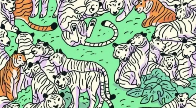 Reto viral: encuentra a la cebra escondida en la imagen.