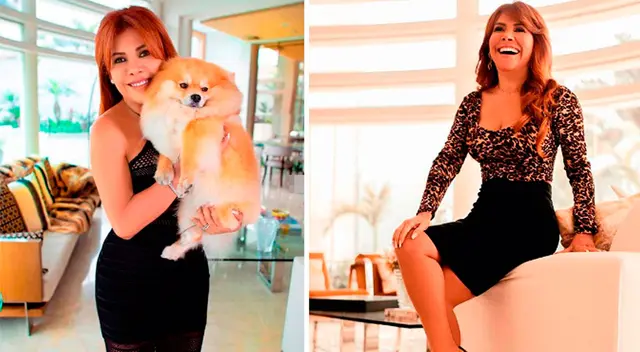 La conductora de televisión Magaly Medina decidió recordarle su pasado en el mundo de la farándula.