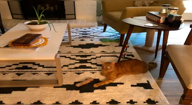 ¿Es truco o realidad? ¿Es truco o realidad?