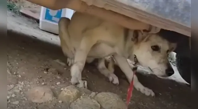 El clip cuenta con miles de reproducciones en YouTube.