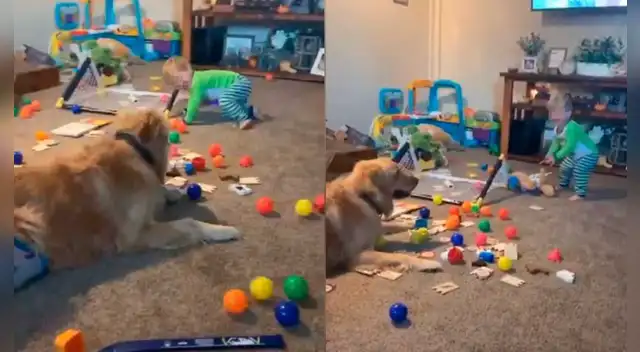 La escena causó la risa de varios usuarios en las redes sociales.