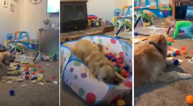 El clip cuenta con miles de reproducciones en TikTok.