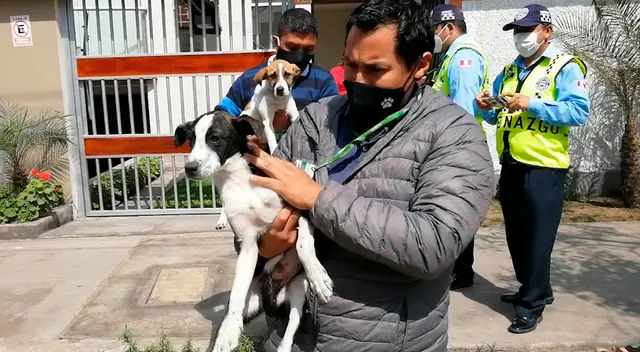 Foto: Municipalidad de Surco