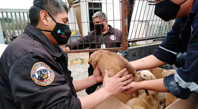 Foto: Municipalidad de Surco.