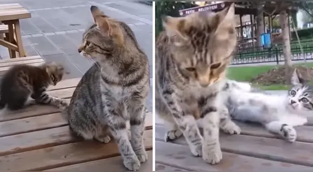 El clip cuenta con miles de reproducciones en YouTube. El clip cuenta con miles de reproducciones en YouTube.