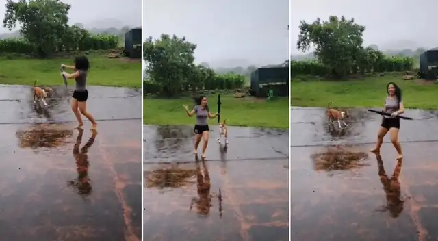 El perrito y su dueña se ganaron los aplausos de miles en TikTok.