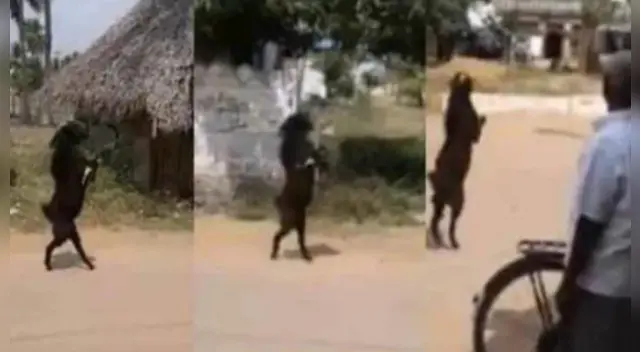 El clip cuenta con miles de reproducciones en YouTube.