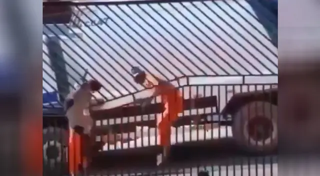 Perrito se emociona al ver a los recolectores de basura Perrito se emociona al ver a los recolectores de basura