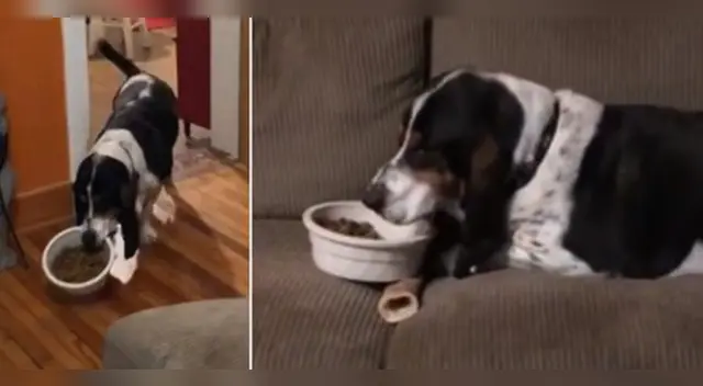 La divertida escena causó sensación en las redes sociales.