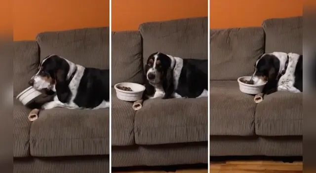 El clip cuenta con miles de reproducciones en TikTok.