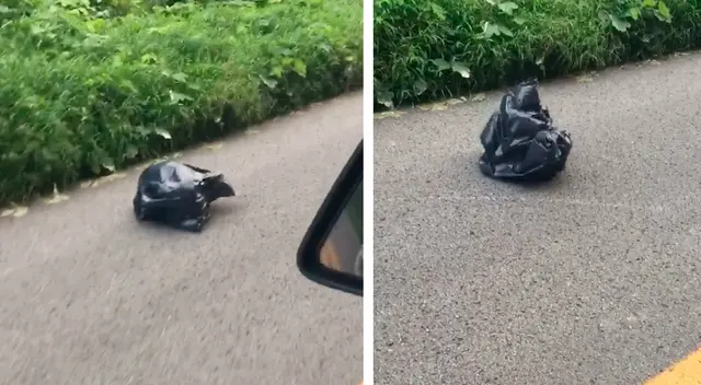 El curioso hallazgo de una mujer que le cambió la vida completamente