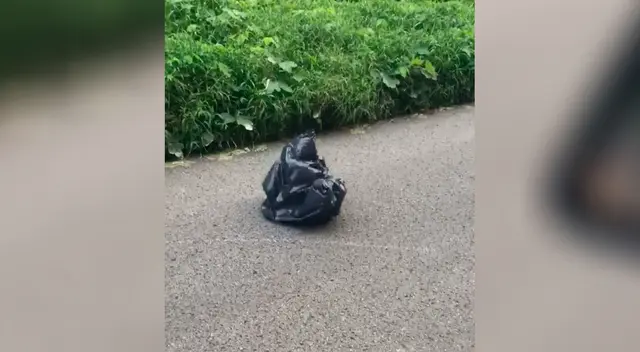 El curioso hallazgo de una mujer que le cambió la vida completamente