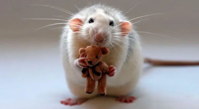 El reto visual que desafía tu paciencia El reto visual que desafía tu paciencia