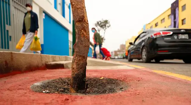 Ciclovía de La Victoria vienen siendo interrumpidas. Ciclovía de La Victoria vienen siendo interrumpidas.