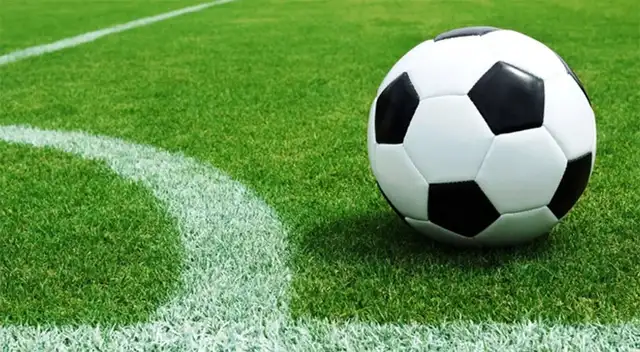 Encuentra la pelota de fútbol escondida entre los pandas.