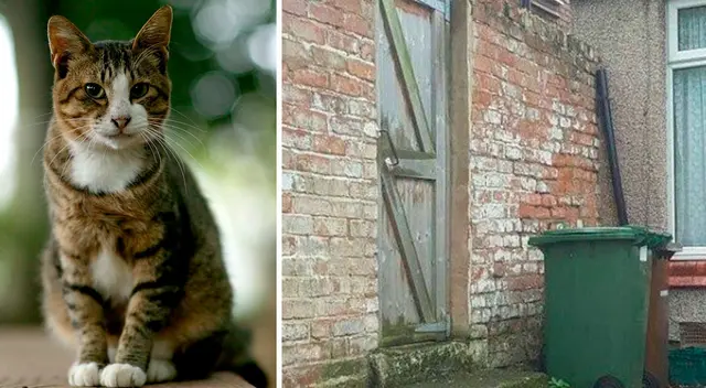 El desafío visual que casi nadie ha podido resolver El desafío visual que casi nadie ha podido resolver
