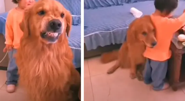 El perrito defendió a su pequeña dueña.