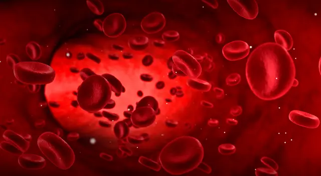 Barington indicó que las personas no deberían preocuparse por el vínculo entre el tipo de sangre y el coronavirus. Barington indicó que las personas no deberían preocuparse por el vínculo entre el tipo de sangre y el coronavirus.