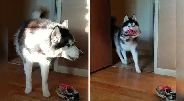 El clip cuenta con miles de reproducciones en YouTube. El clip cuenta con miles de reproducciones en YouTube.