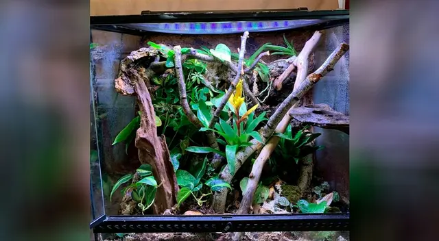 Te presentamos el reto viral más difícil de resolver Te presentamos el reto viral más difícil de resolver