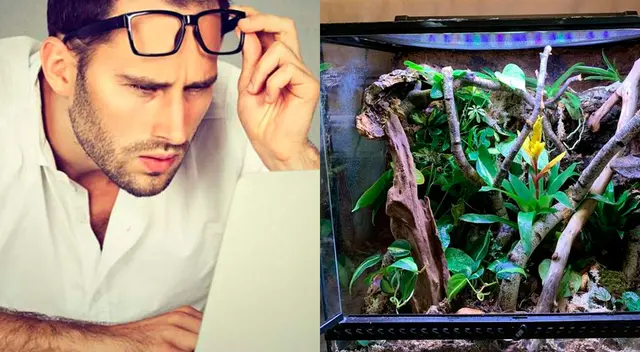 Te presentamos el reto viral más difícil de resolver Te presentamos el reto viral más difícil de resolver