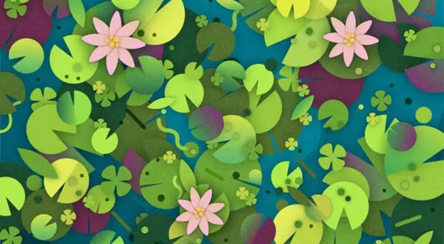 Reto viral: encuentra a la tortuga camuflada.