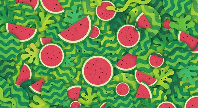 Reto viral: encuentra la serpiente camuflada entre las sandías.