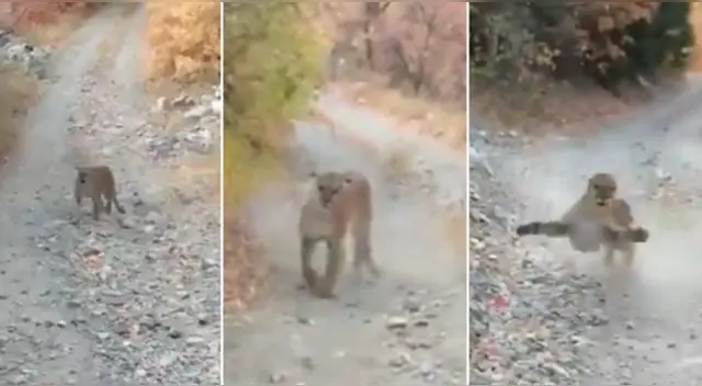 El clip cuenta con miles de reproducciones en Facebook.