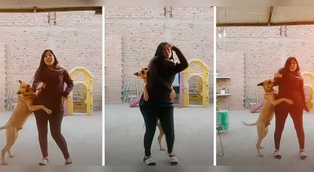 El clip cuenta con miles de reproducciones en TikTok. El clip cuenta con miles de reproducciones en TikTok.