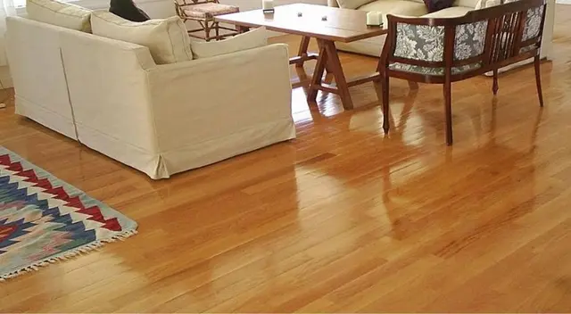 Logra que tus pisos estén limpios y relucientes.