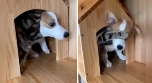 El clip cuenta con miles de reproducciones en Facebook. El clip cuenta con miles de reproducciones en Facebook.