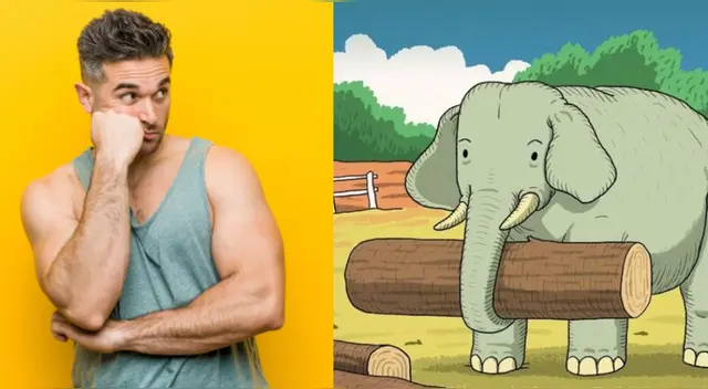 Tienes 15 segundos para dar con la respuesta.