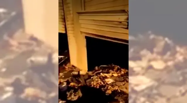 Incendio en Los Olivos dejó cuantiosas perdidas. Incendio en Los Olivos dejó cuantiosas perdidas.