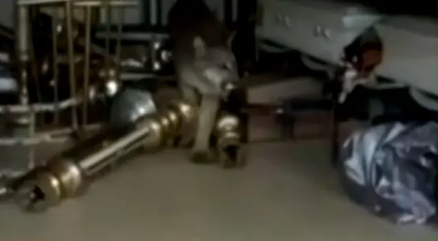 Puma andino fue trasladado al zoológico “Totorilla”, donde se integró rápidamente.