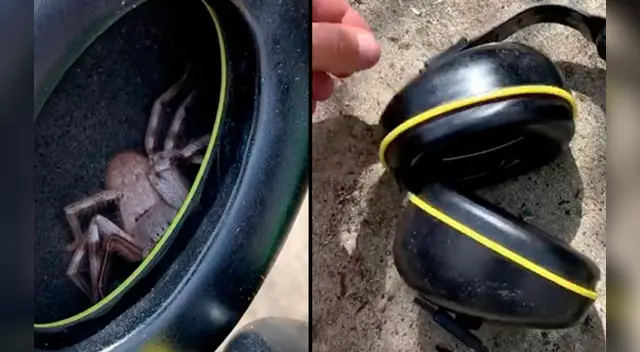 El insólito video se ha vuelto viral en Internet. El insólito video se ha vuelto viral en Internet.