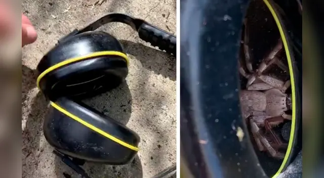 El clip cuenta con miles de reproducciones en YouTube. El clip cuenta con miles de reproducciones en YouTube.