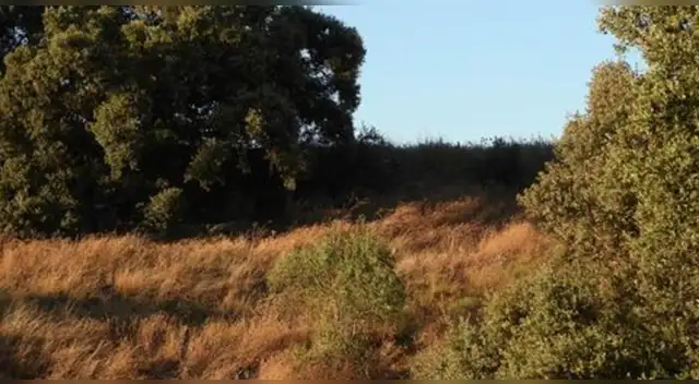 Tienes pocos segundos para dar con la respuesta.