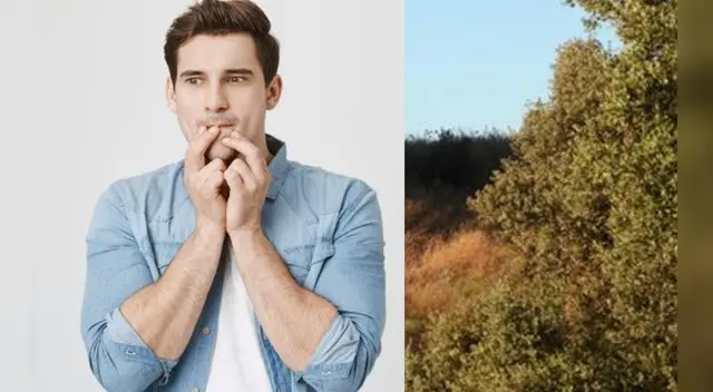 El reto de Facebook ha causado sensación en las redes sociales.